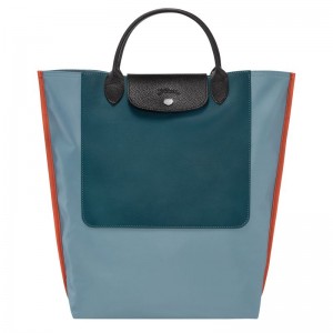 Torebka Damskie Longchamp Cabas M Tote Canvas Niebieskie | PL9179MQ