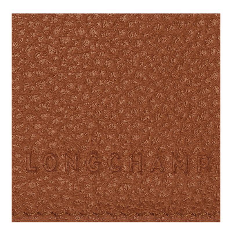 Akcesoria Damskie Longchamp Le FoulonnÉ Passport cover Leather Caramel | PL8226PJ