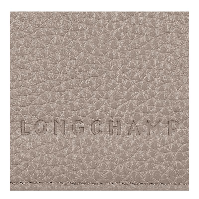 Akcesoria Męskie Longchamp Le FoulonnÉ Passport cover Leather Turtledove | PL7125QM