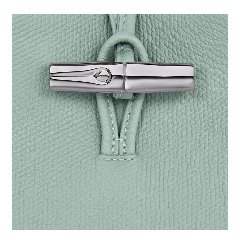 Etui Damskie Longchamp Le Roseau 1 Leather Celadon | PL8408JP