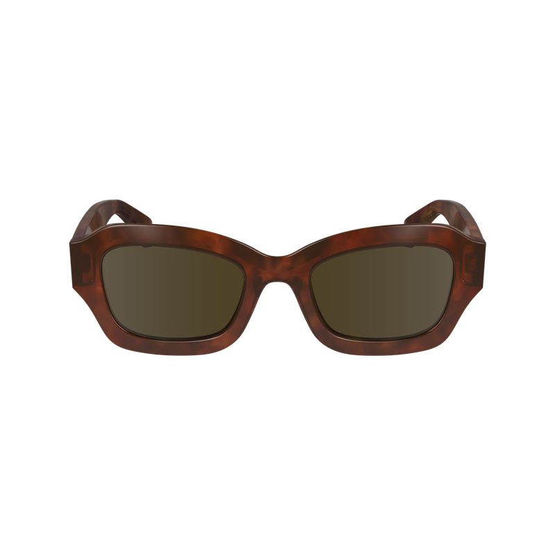 Okulary Przeciwsłoneczne Damskie Longchamp Acetate Brązowe | PL7948OK