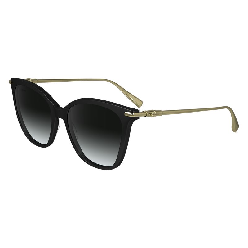 Okulary Przeciwsłoneczne Damskie Longchamp Acetate / Metal Czarne | PL7935CT