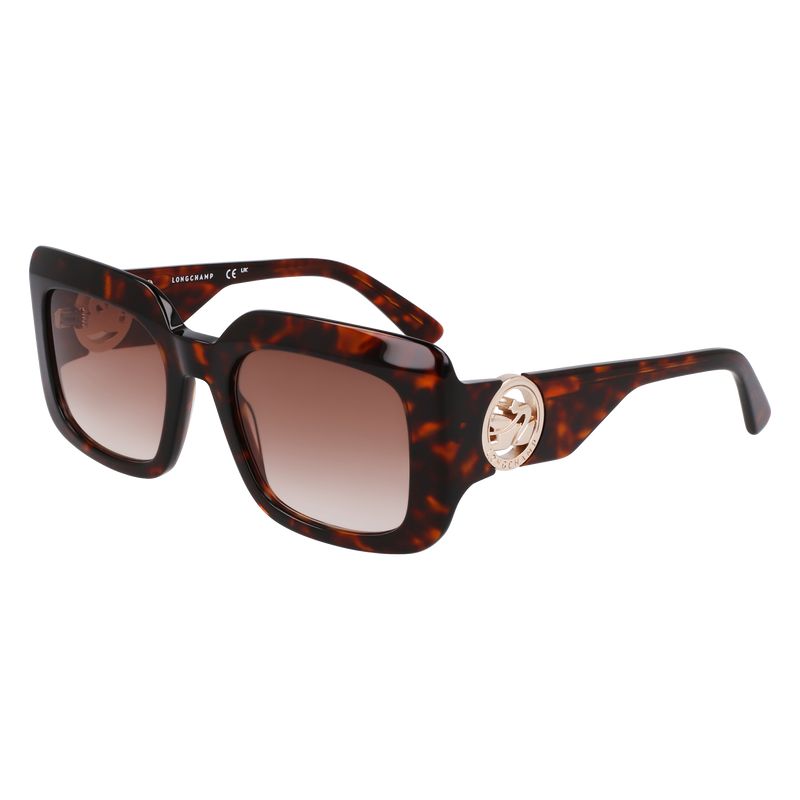 Okulary Przeciwsłoneczne Damskie Longchamp Acetate Ciemny | PL7916SG