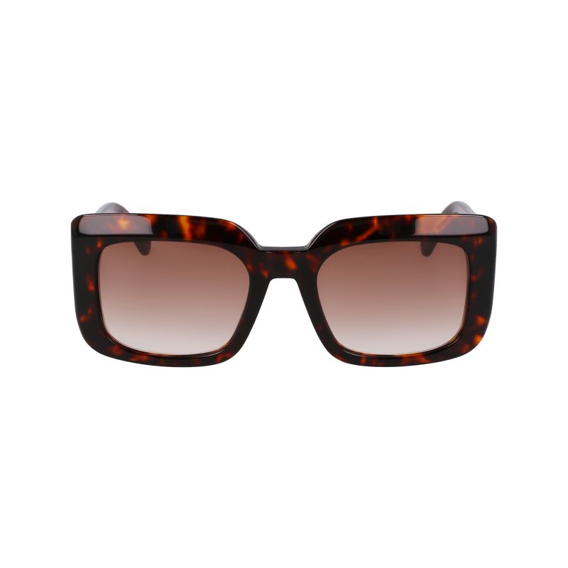 Okulary Przeciwsłoneczne Damskie Longchamp Acetate Ciemny | PL7916SG