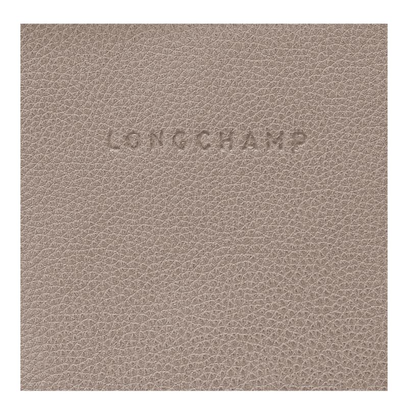 Plecaki Damskie Longchamp Le FoulonnÉ Leather Turtledove | PL8757XY