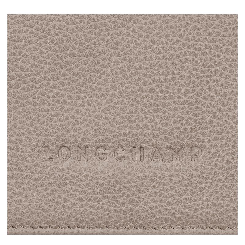 Portfele Damskie Longchamp Le FoulonnÉ Leather Turtledove | PL8575YX