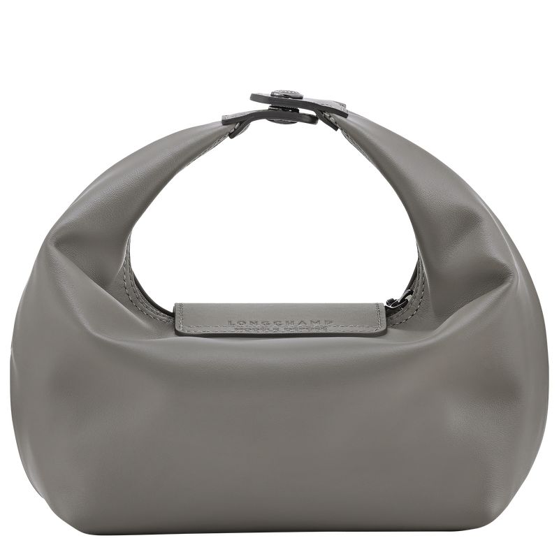 Torebka Damskie Longchamp Le Pliage Xtra XS Leather Turtledove | PL9093IL