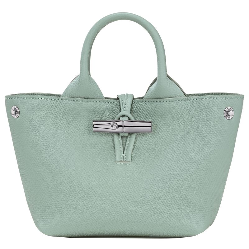 Torebki Małe Damskie Longchamp Le Roseau XS Handbag Leather Celadon | PL9326KO